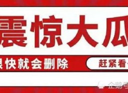 娱乐圈吃瓜合集视频网,吃瓜合集视频网热门事件大盘点