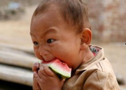 娱乐吃瓜小男孩是谁