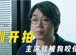 娱乐吃瓜y君,揭秘娱乐圈幕后故事