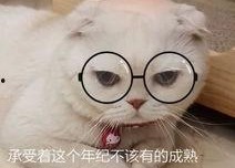 娱乐吃瓜君和刘二豆