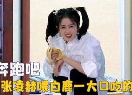 娱乐吃瓜直播白鹿,娱乐界新热点