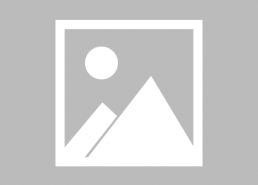 娱乐圈游戏吃瓜,游戏吃瓜，揭秘明星幕后故事