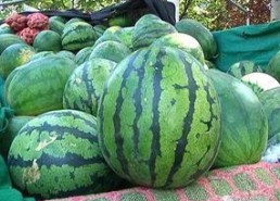 每天看娱乐吃瓜会怎么样,生活百态尽收眼底