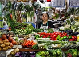 娱乐吃瓜酱买菜