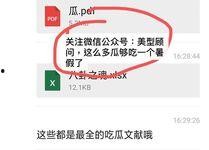 娱乐圈吃瓜pdf文件,PDF文件深度解析