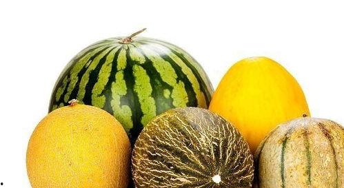 娱乐吃瓜作品有哪些类型,吃瓜群众的多元化娱乐作品类型大盘点